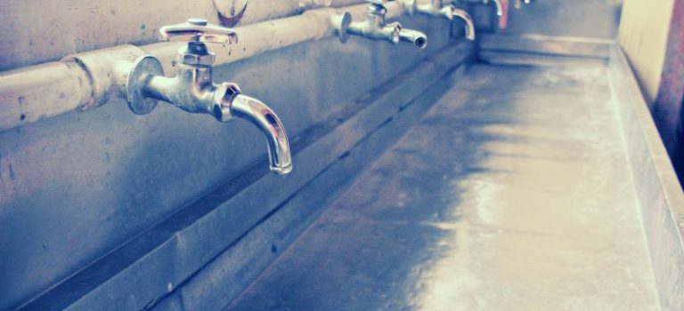 身近な水をもっとおいしく安全に暮らしを支える蛇口直結型浄水器の魅力と選び方